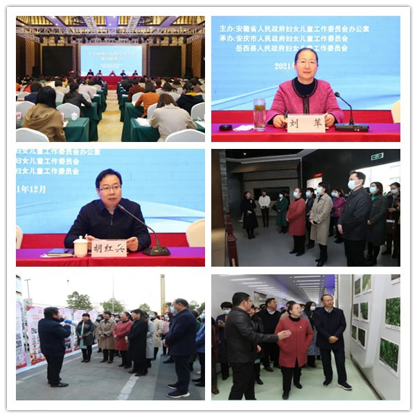 104438-103185.jpg 145021-122098.jpg