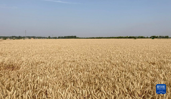 095309-645820.jpg 1128905358_16601401014741n.jpg