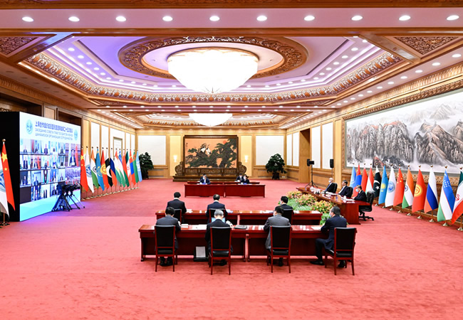 083738-828792.jpg 2.jpg