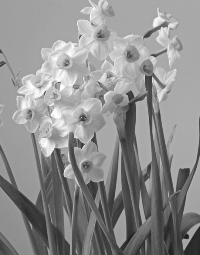 083356-106318.jpg 7.jpg