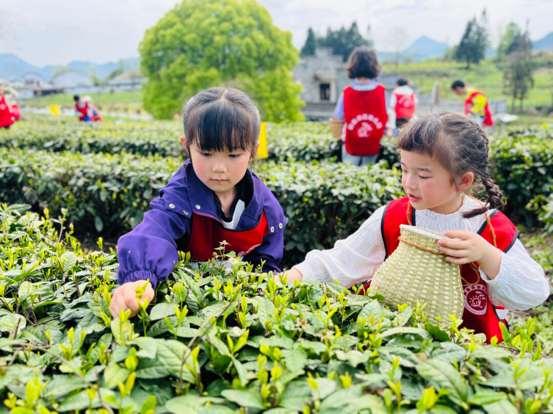 171042-119150.jpg 171042-119150.jpg