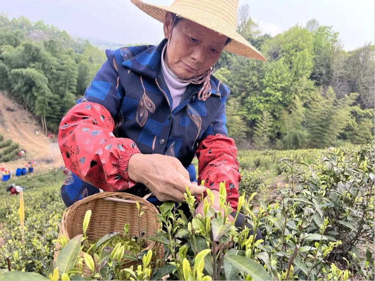 085126-124680.png 640.png