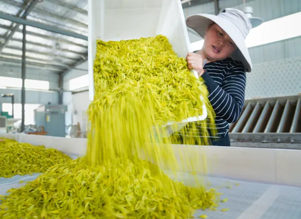 085155-738511.png 640.png