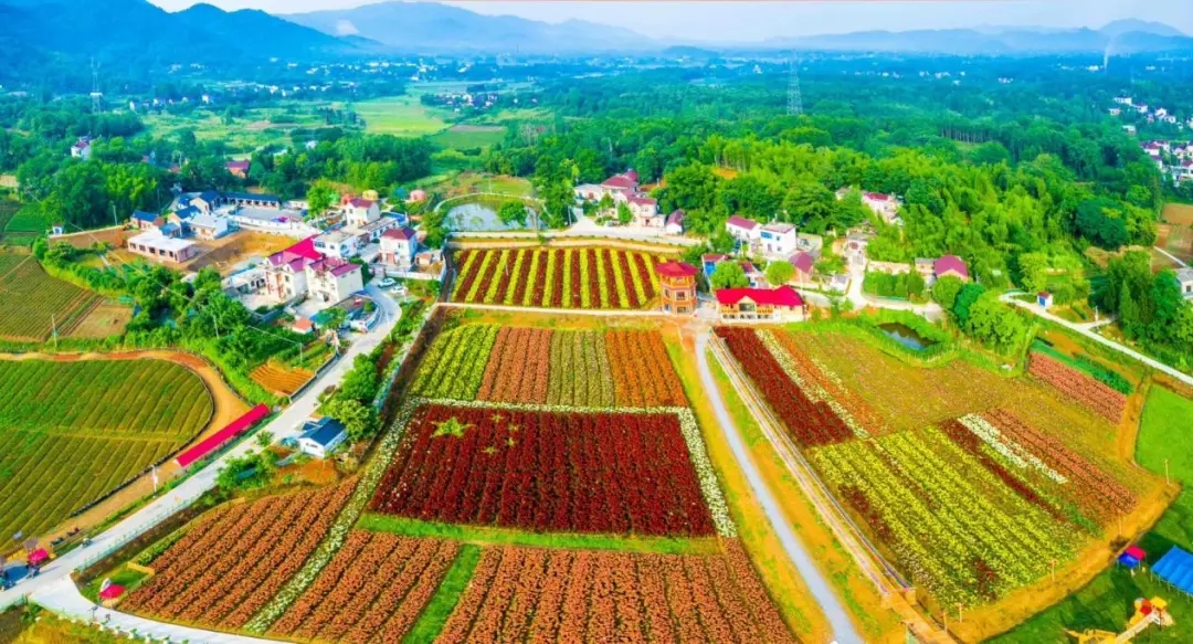 081501-112700.png 081501-112700.png