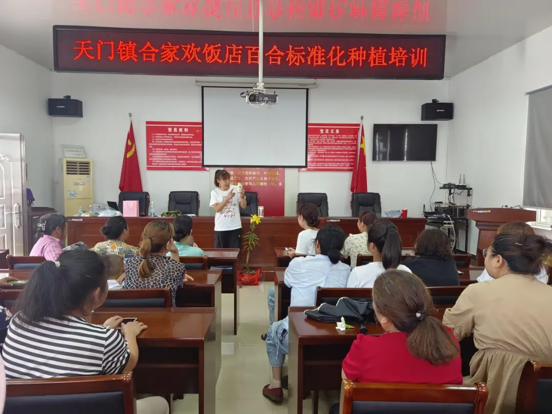 081650-560230.png 081650-560230.png