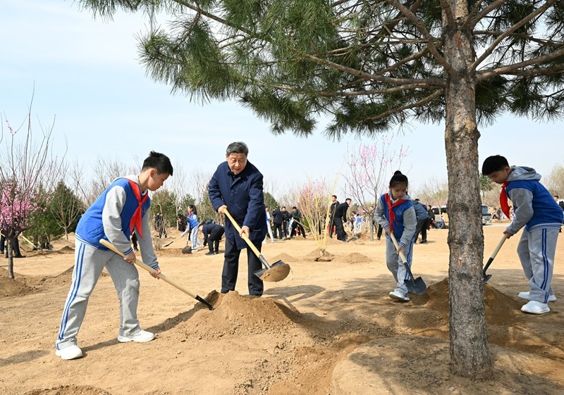 052047-453554.jpg 1.jpg